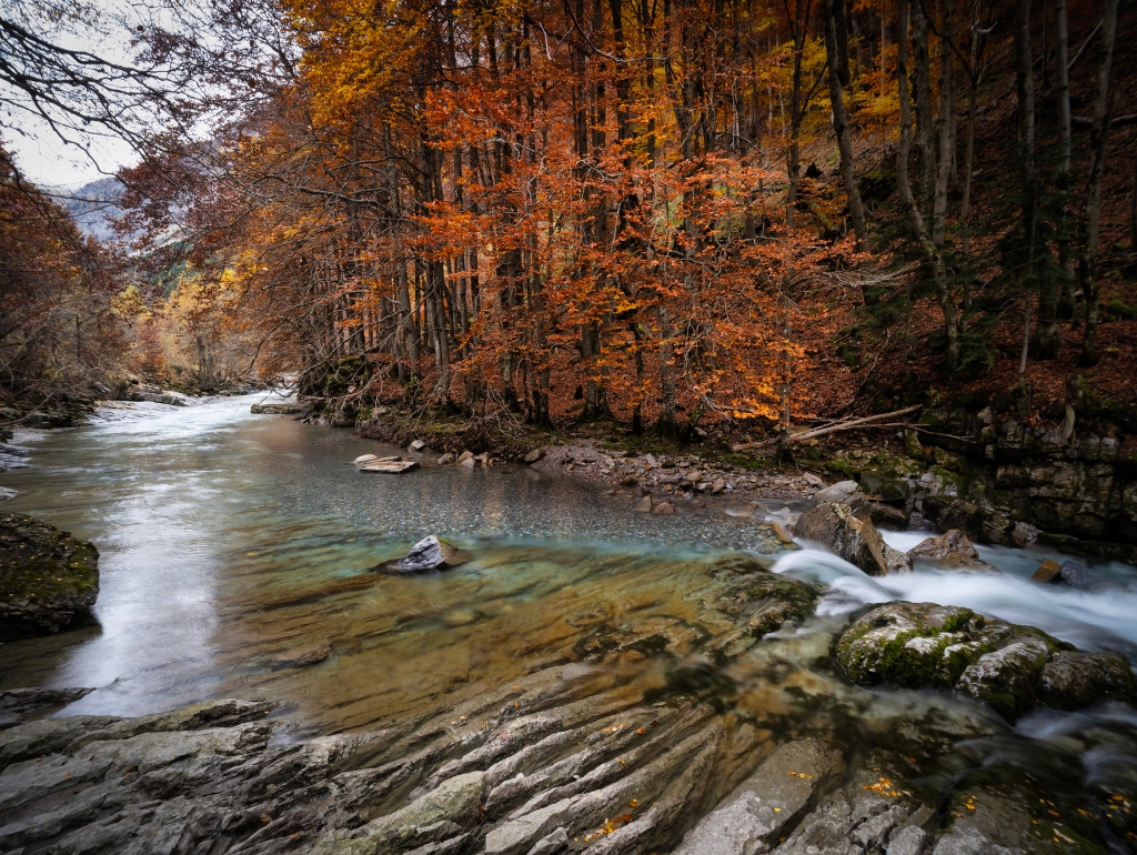 Río Arazas in Ordesa valley - Where Autumn Unfolds Its Secrets