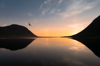 One-flew-over-the-Morfjord